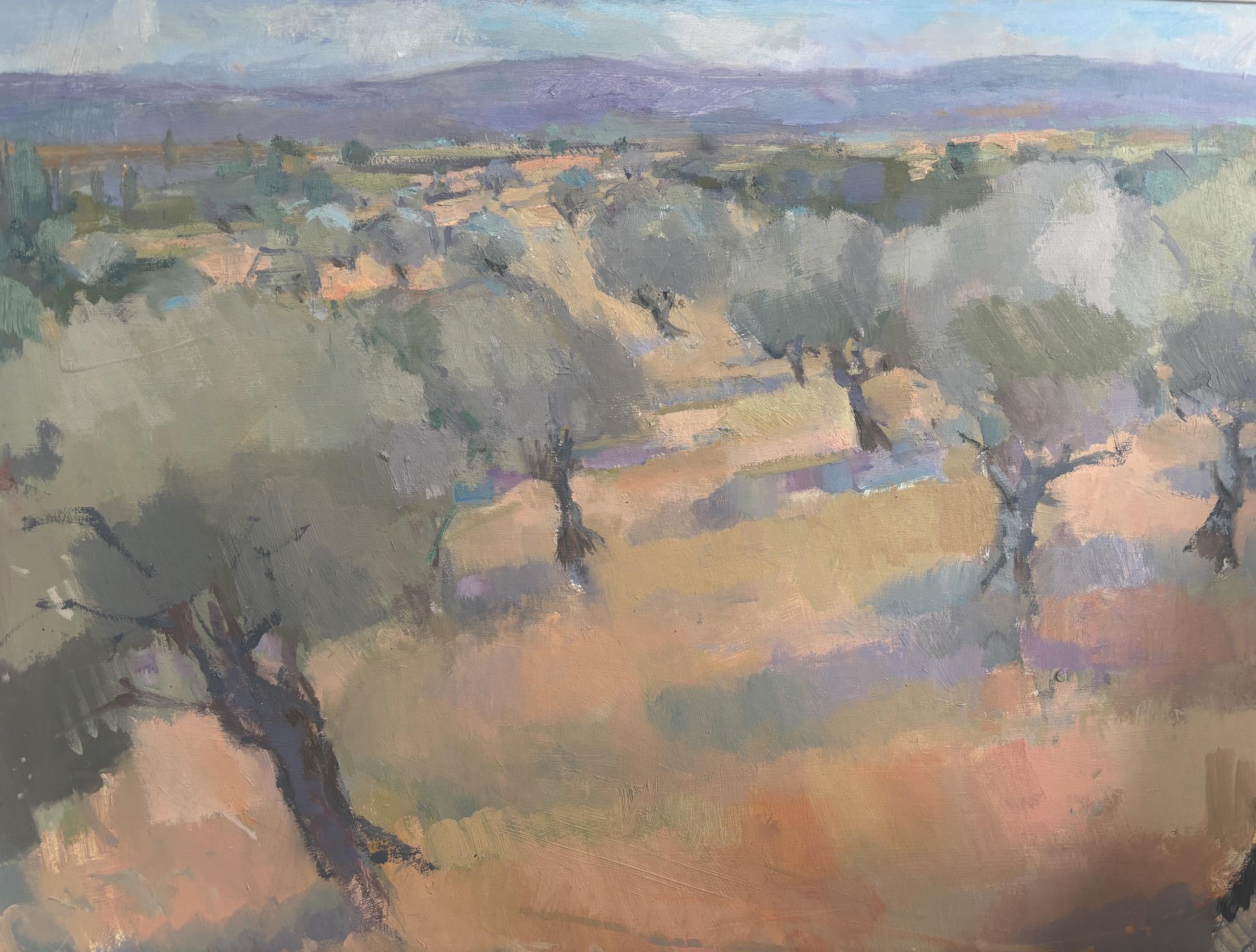 Ancient Olive Grove, distant hills - Sardinia